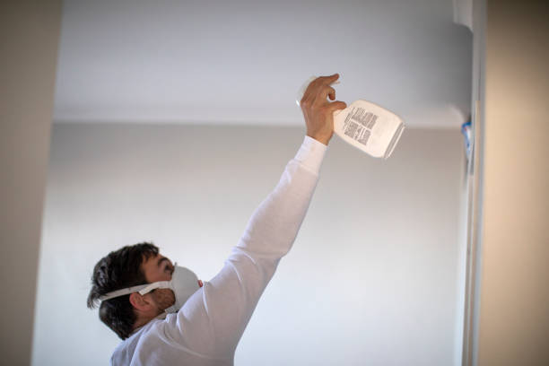 Best Toxic Mold Removal  in , CA